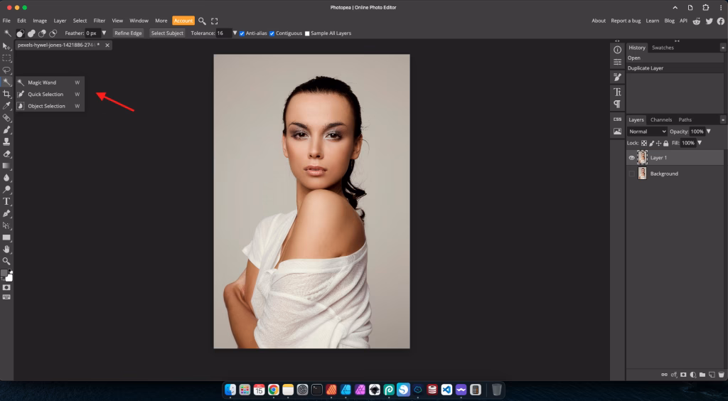 Remove Backgrounds: Tools for Clean Images 4 Choose your selection tool
