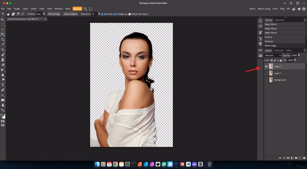 Remove Backgrounds: Tools for Clean Images 6 Delete the background or apply a layer mask