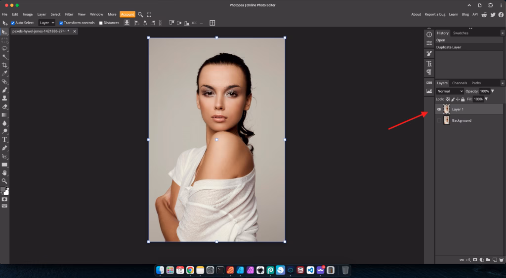 Remove Backgrounds: Tools for Clean Images 3 Duplicate the layer (best practice)